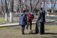 Городской парк готовится к началу летнего сезона *** Саратовская область, город Маркс - апрель 2019 год (marksadm.ru)