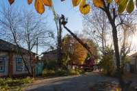 На территории г. Маркса проводятся работы по спилу аварийных деревьев *** Саратовская область, город Маркс - октябрь 2019 год (marksadm.ru)