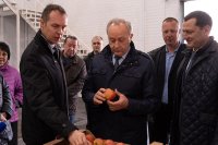 Губернатор Валерий Радаев рассказал, где в Саратовской области выращивают вкусные яблоки *** Саратовская область, город Маркс - октябрь 2019 год (marksadm.ru)