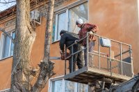 В городе Марксе проведены работы по спилу аварийных деревьев высотой более 25 м *** Саратовская область, город Маркс - ноябрь 2019 год (marksadm.ru)