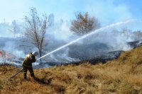 С 7 по 20 июля на территории района введён особый противопожарный режим *** Саратовская область, город Маркс - июль 2020 год (marksadm.ru)