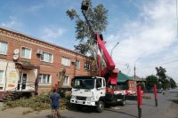 В городе Марксе продолжаются работы по спилу аварийных деревьев *** Саратовская область, город Маркс - сентябрь 2020 год (marksadm.ru)