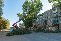 На территории г. Маркса продолжаются работы по спилу аварийных деревьев *** Саратовская область, город Маркс - сентябрь 2020 год (marksadm.ru)