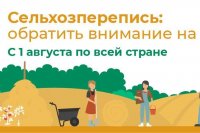 В Саратовской области 1 августа началась сельскохозяйственная микроперепись, которая продлится по 30 августа *** Саратовская область, город Маркс - август 2021 год (marksadm.ru)