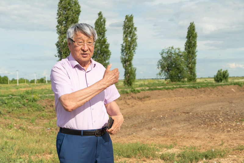 Трудовое саратовская обл. Племзавод трудовой Саратовская область.