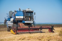 В этом году у наших сельхозтоваропроизводителей рекордные урожаи *** Саратовская область, город Маркс - август 2022 год (marksadm.ru)