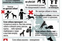 ������������� ������������ �������������� ������ ����������� ������� � ����������� ��������� ������ ���������� �������� �������� *** ����������� �������, ����� ����� - ���� 2025 ��� (marksadm.ru)