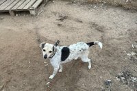 ������������� ����� "���� ������" *** ����������� �������, ����� ����� - ������ 2025 ��� (marksadm.ru)