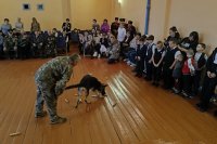 � ������ ���� ��������� ��������� � ����� ���� ���������� ���������� �������� �������������� ����������� - ���� ���������� *** ����������� �������, ����� ����� - ������ 2025 ��� (marksadm.ru)