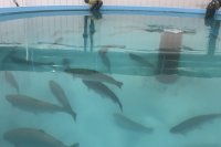 �� ���������� ������ ���������� �������������� ������ �� ����������� ����������� ��������� ���������� ����� ��� ����������� �������� ������ *** ����������� �������, ����� ����� - ������ 2026 ��� (marksadm.ru)