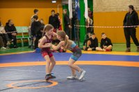 ������������� �������� IV ��������� ���������������� ������� �� �����-������� ������, ������������ ������ ������, �������� � ���� ���������� ����������� ������� �������� *** ����������� �������, ����� ����� - ������� 2026 ��� (marksadm.ru)
