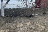 ���� �� ��������� �������� ��������� �������� *** ����������� �������, ����� ����� - ���� 2026 ��� (marksadm.ru)