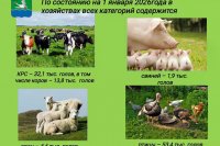 ��������� ��������� ������������ ��������� *** ����������� �������, ����� ����� - ������ 2026 ��� (marksadm.ru)