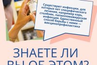 ����� ��������� ������ �����������! *** ����������� �������, ����� ����� - ������ 2026 ��� (marksadm.ru)