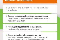 � ����������� ������� ���������� ��������� ����� - ����� ����� ��������� ������� ������������ *** ����������� �������, ����� ����� - ������ 2026 ��� (marksadm.ru)