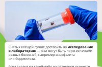 � ����������� ������� ���������� ��������� ����� - ����� ����� ��������� ������� ������������ *** ����������� �������, ����� ����� - ������ 2026 ��� (marksadm.ru)