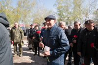 ������, ������� �� ������� *** ����������� �������, ����� ����� - ������ 2026 ��� (marksadm.ru)