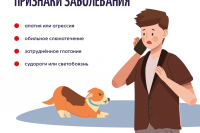 ���������: ���������! *** ����������� �������, ����� ����� - ���� 2026 ��� (marksadm.ru)