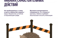 ���������: ���������! *** ����������� �������, ����� ����� - ���� 2026 ��� (marksadm.ru)