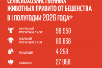 ���������: ���������! *** ����������� �������, ����� ����� - ���� 2026 ��� (marksadm.ru)
