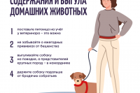 ���������: ���������! *** ����������� �������, ����� ����� - ���� 2026 ��� (marksadm.ru)