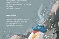 ������ ����: ��� ������� �������� � �������������������� �������� *** ����������� �������, ����� ����� - ���� 2026 ��� (marksadm.ru)