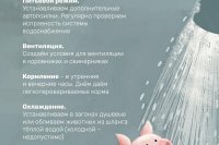������ ����: ��� ������� �������� � �������������������� �������� *** ����������� �������, ����� ����� - ���� 2026 ��� (marksadm.ru)