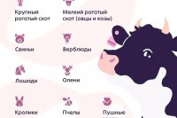 � ������ ������������ ���������� ������ �� ������������� ������������ � ����� ��������, ������� � 2024 ���� *** ����������� �������, ����� ����� - ���� 2026 ��� (marksadm.ru)