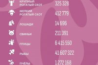 � ������ ������������ ���������� ������ �� ������������� ������������ � ����� ��������, ������� � 2024 ���� *** ����������� �������, ����� ����� - ���� 2026 ��� (marksadm.ru)
