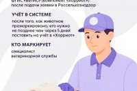 � ������ ������������ ���������� ������ �� ������������� ������������ � ����� ��������, ������� � 2024 ���� *** ����������� �������, ����� ����� - ���� 2026 ��� (marksadm.ru)