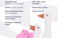 � ������ ������������ ���������� ������ �� ������������� ������������ � ����� ��������, ������� � 2024 ���� *** ����������� �������, ����� ����� - ���� 2026 ��� (marksadm.ru)
