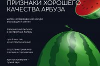������ ����� - ��� ����� ���� �������� � ������ ����? *** ����������� �������, ����� ����� - ������ 2026 ��� (marksadm.ru)