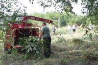 � ����������� ������ ��������� ������� �������� �� ���������������, ���������� � ��������� ����������� ��������� *** ����������� �������, ����� ����� - �������� 2026 ��� (marksadm.ru)