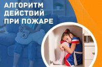 ������� ������� � ����� ����� ���������� ��������� *** ����������� �������, ����� ����� - ������� 2026 ��� (marksadm.ru)