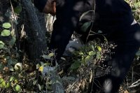 � ������ ������ ����� �������� ����������� ����������� ����� ������� ������ ���� �� �������� ������ �������� ������� ������������� ����� *** ����������� �������, ����� ����� - ������� 2026 ��� (marksadm.ru)